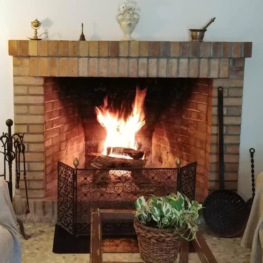Masia Orta Holiday home *